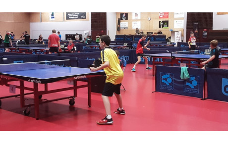LES MALOUINS AU TOURNOI NATIONAL DE THORIGNE-FOUILLARD